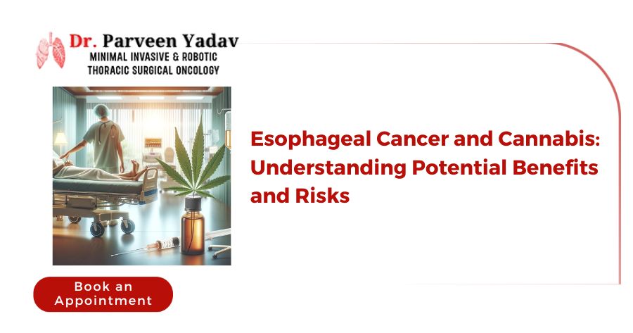 Esophageal Cancer and Cannabis: Understanding Potential Benefits and Risks
